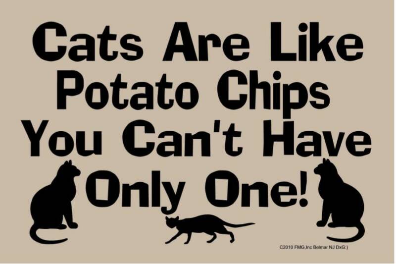 [Bild: Cats_Are_Like_Potato_Chips.jpg]